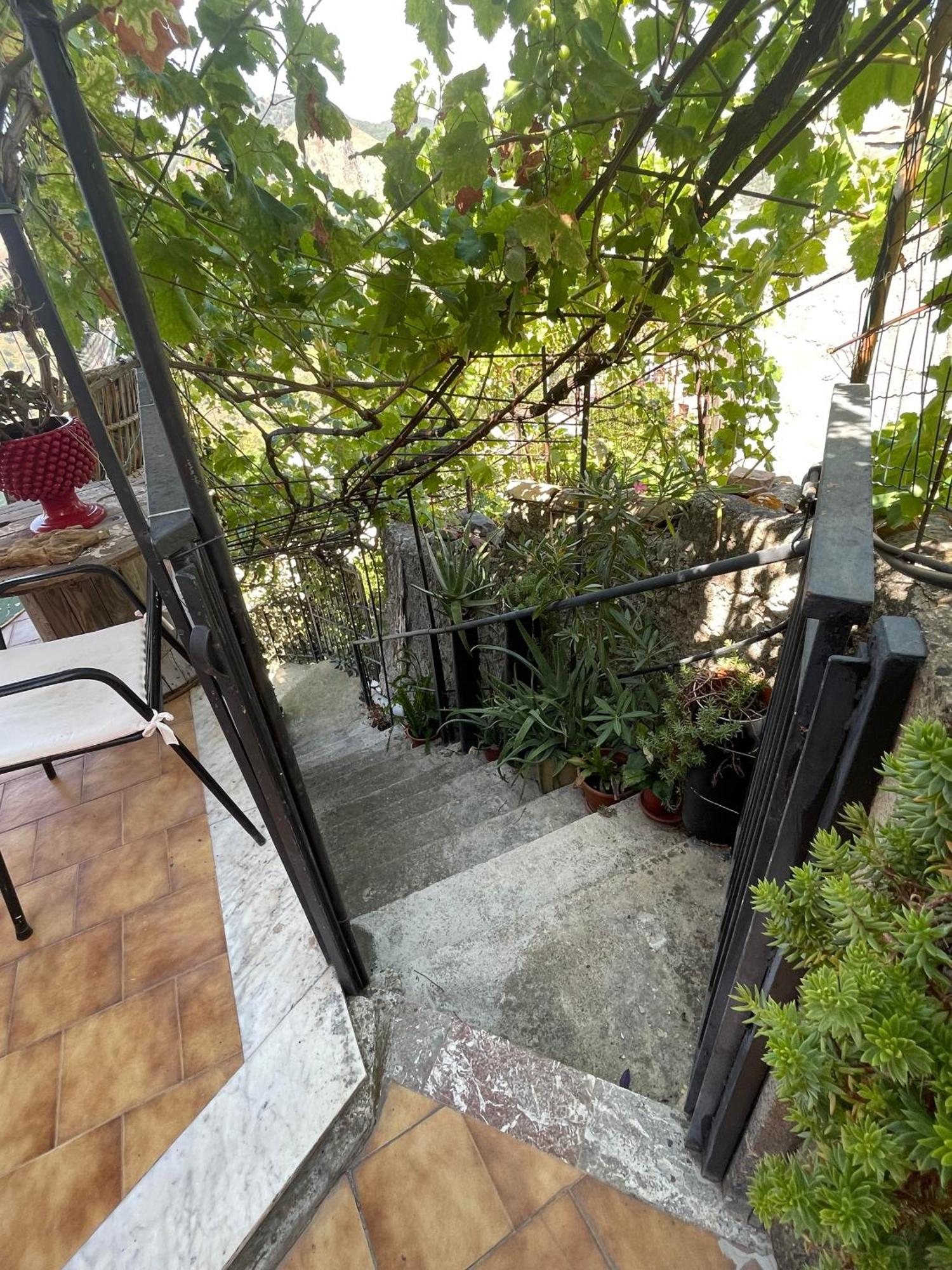 The Secret Garden Holiday home *