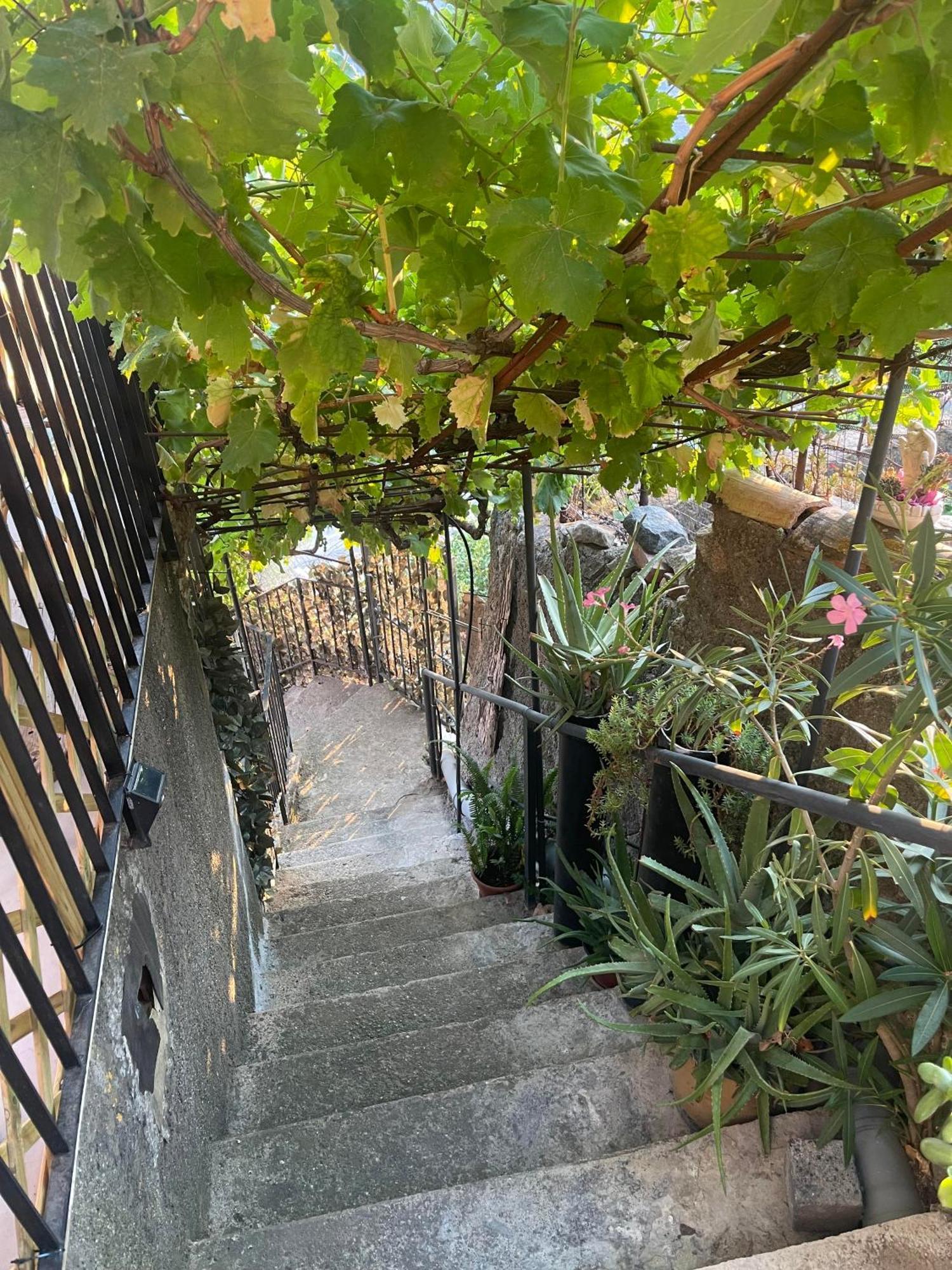 The Secret Garden Forza d'Agro