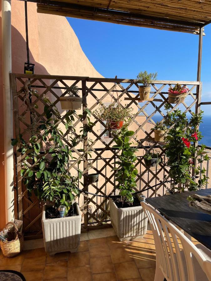 The Secret Garden Holiday home