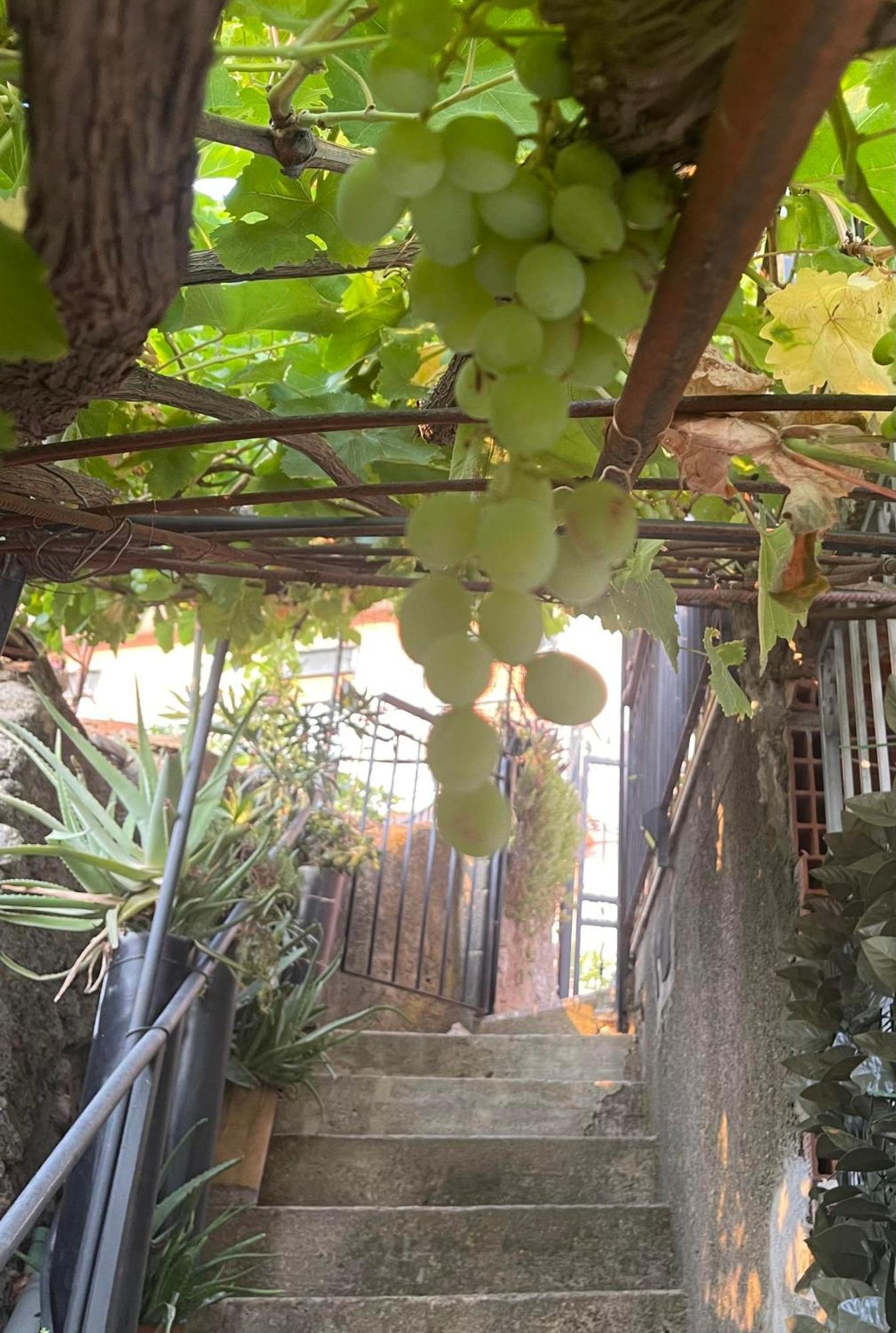 The Secret Garden * Forza d'Agro